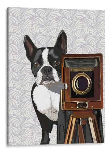 Illustrated Boston Terrier holding a vintage camera against a lavender floral background