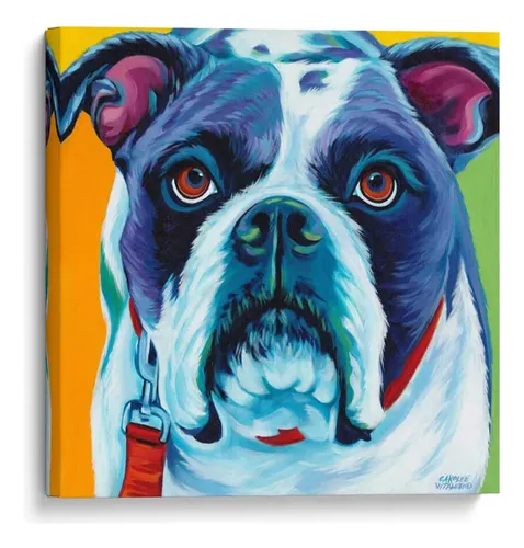 Retrato de cerca de un bulldog en estilo pop art con azul, blanco y amarillo, y ojos color ámbar