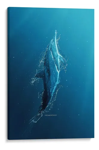 Artwork of a dolphin leaping from deep blue ocean water surrounded by spray