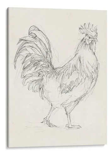 Pencil-sketch style illustration of a rooster in neutral tones with minimal, expressive line work